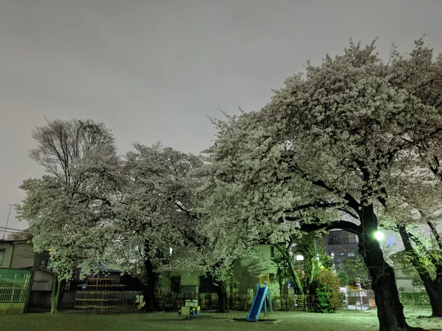 Akishima Shiritsu Hachisei Park