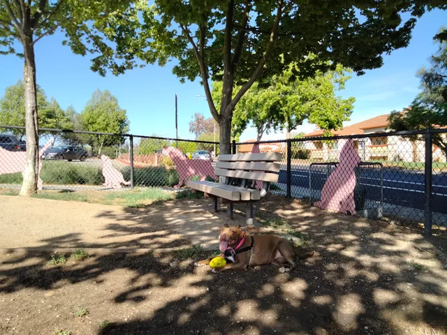 Dougherty Hills Dog Park