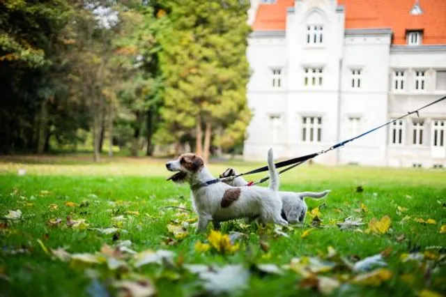 Centrum Kultury Śląskiej w Nakle Śląskim