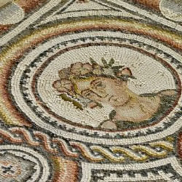 Musée villa gallo-romaine de Loupian