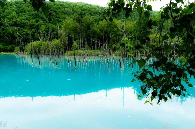 Asahikawa Kitasaito Garden