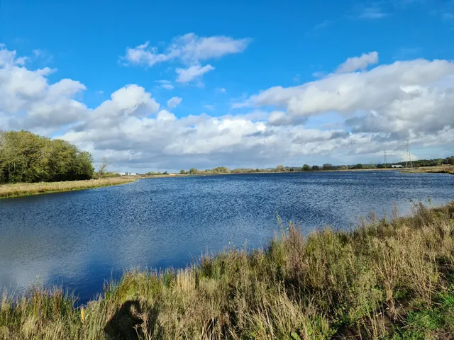 Tucklesholme Nature Reserve