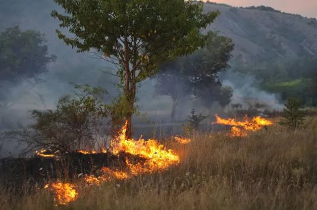 Montañas de Tivissa-Vandellòs