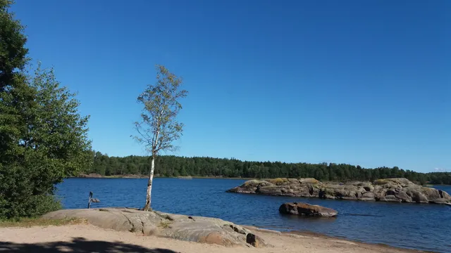 Drevviken