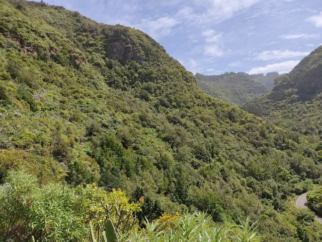 Reserva Natural Especial de los Tilos