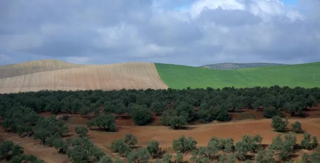 Ciudad Ibero-Romana de Cástulo