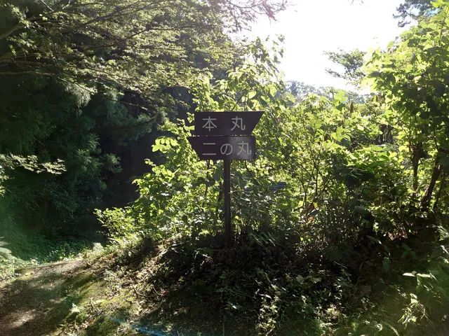 photo-2