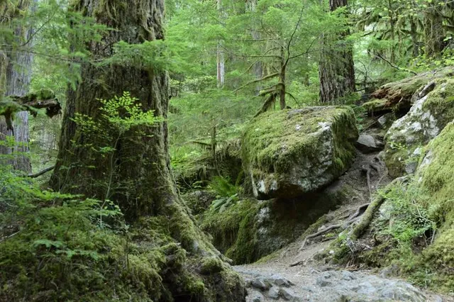 Staircase Ranger Station