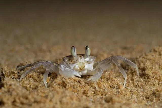 Mtubatuba Local Municipality