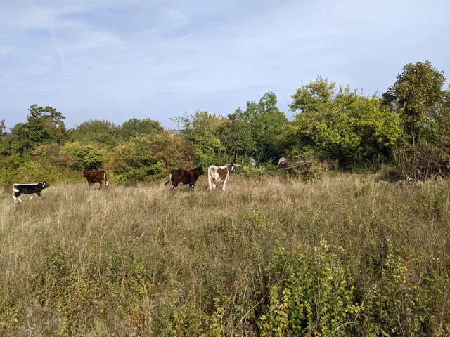 Weston Hills Nature Reserve