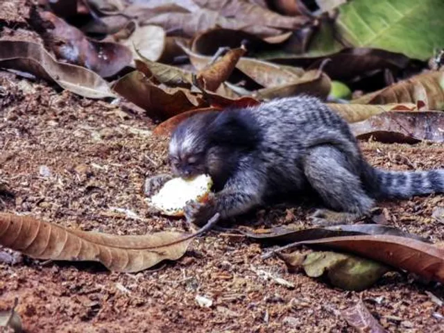 Wildpark Hofheim am Taunus