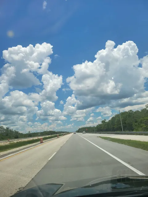 Everglades Adventures