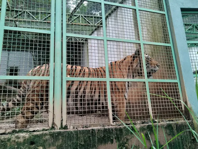 Parque Zoobotânico Municipal Doutor Mário Frota