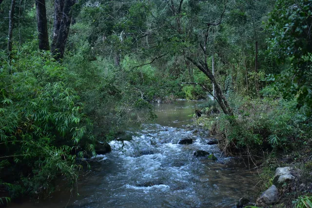 Nonguén National Park