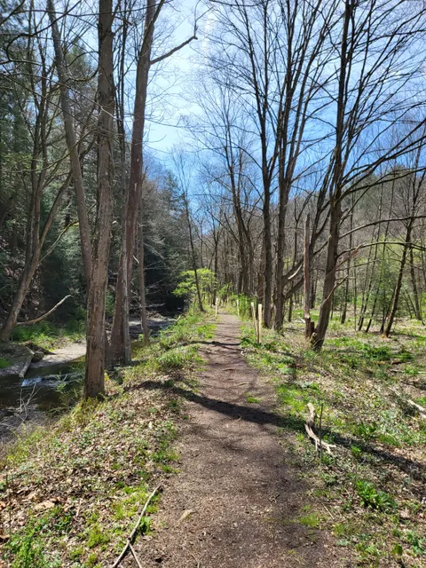 Crouse Run Nature Reserve