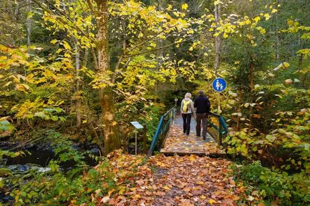 Burgruine Dießenstein