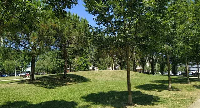 Jardim de Sarah Afonso