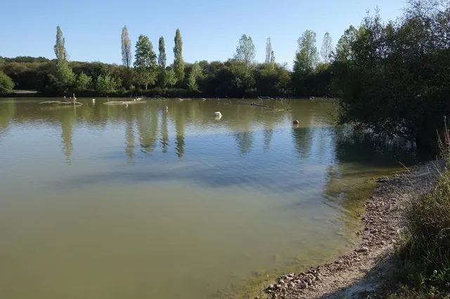 Étang de la Foulquetière