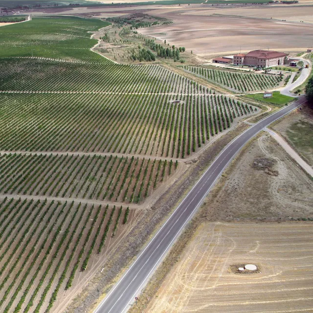Castelo de Medina - bodegas