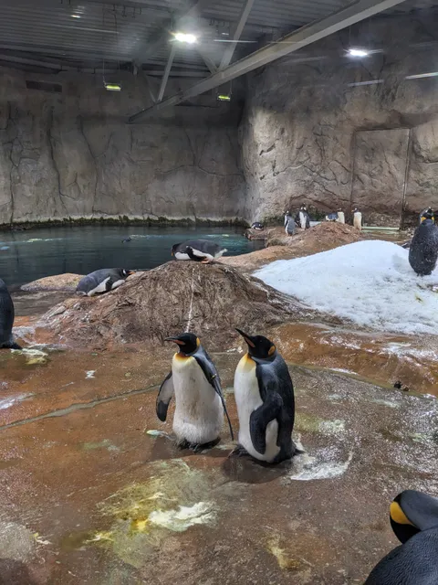 Zoo-Verein Wuppertal e.V