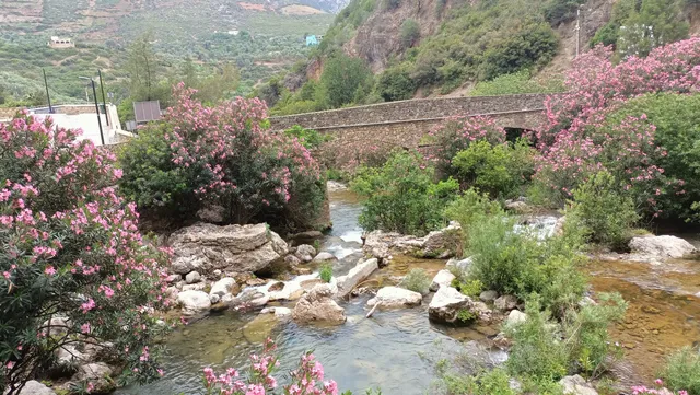 Akchour Waterfalls Tours