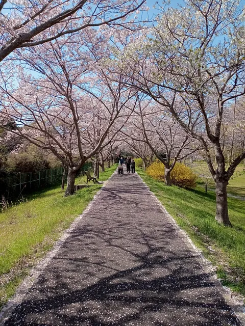 Miyanomori Park
