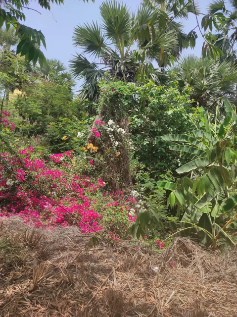 good granny with cucumbers