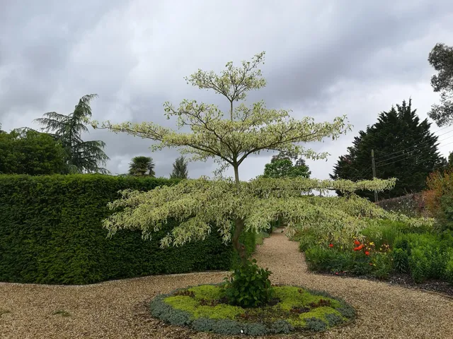 The Walled Gardens of Cannington Tea Room