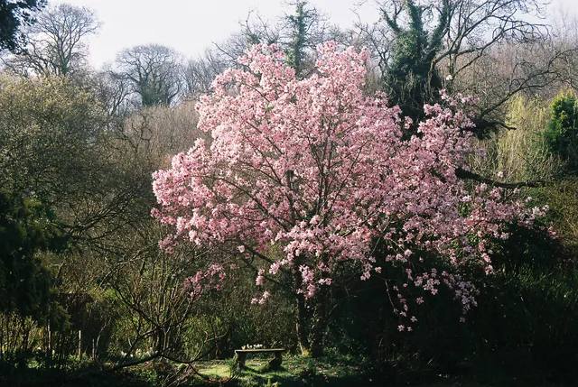 Fast Rabbit Farm Gardens