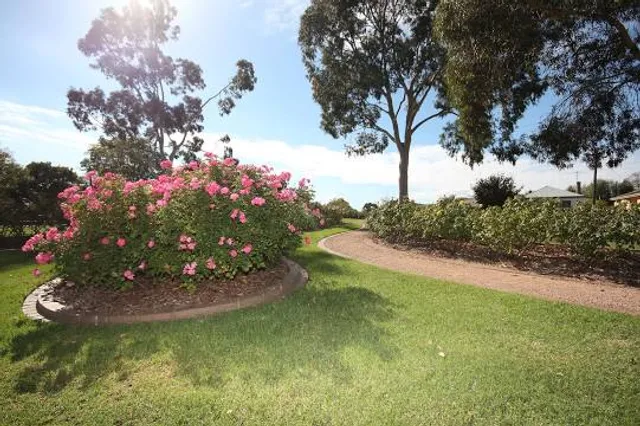 Morwell Centenary Rose Garden
