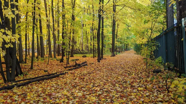 Richelieu Vanier Park