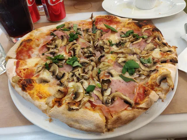 Brigante (Σύνταγμα)