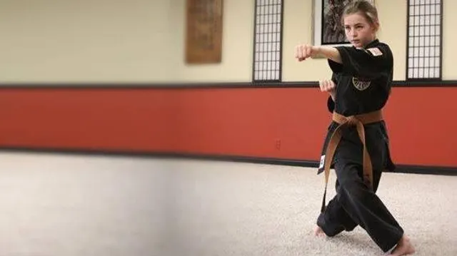 United Studios Of Self Defense Newport Beach