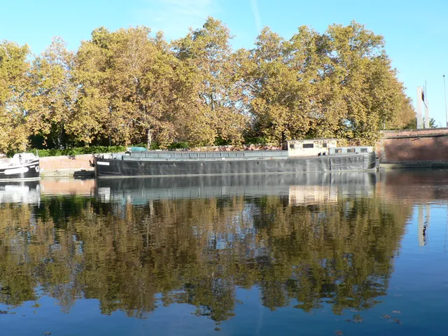 Association Maison Nougaro