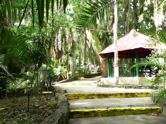 Gustavo Knoop ~ Los Coquitos Park