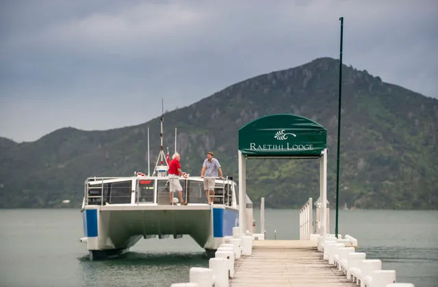 Greenshell Mussel Cruise