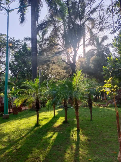 S.K. Patil Garden