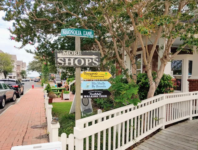 Vineyards On the Scuppernong