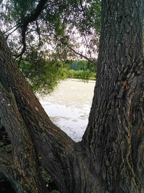 San Dimas Canyon Nature Center