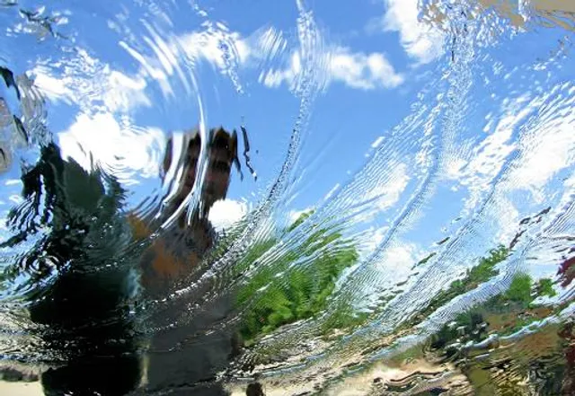 Coolidge McClaine Park