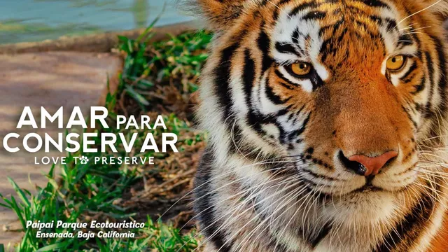 Pai Pai Ecotourism Park