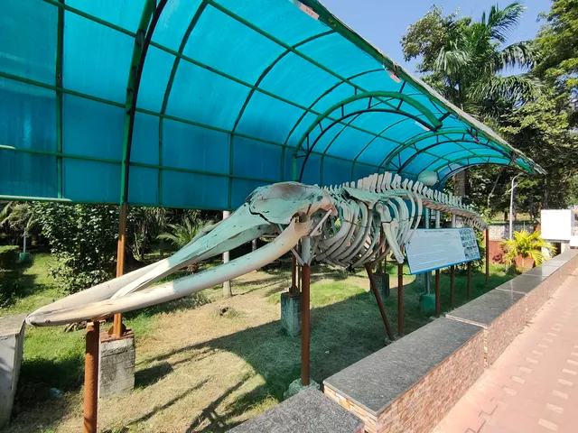 Marine Aquarium & Regional Centre