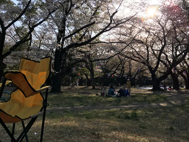 Sakaeryokudo Park