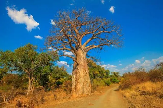 Musina Nature Reserve