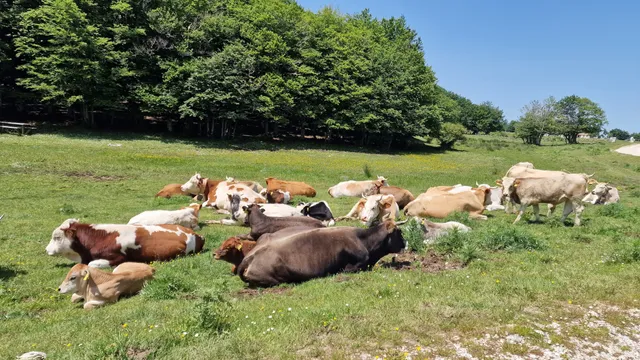 Campitello di Sepino
