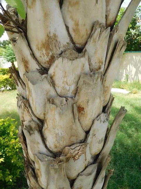 Scolton Park (Doxbin)