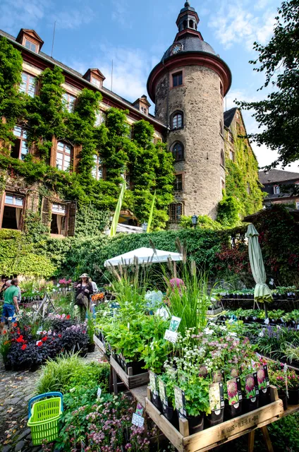 Herbstzauber Laubach