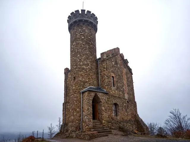 Prince Henryk Castle