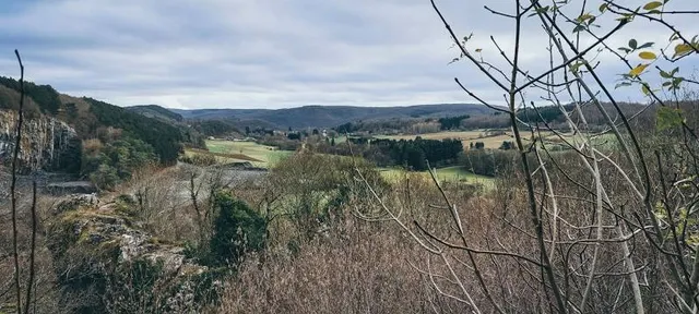 La Roche aux Faucons