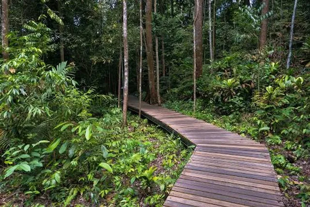 Bukit Timah Nature Reserve